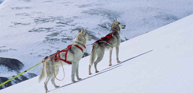 Photo by Anders Gjengedal for Visit Norway